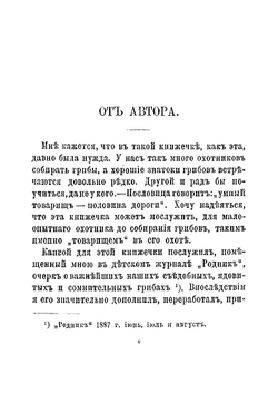 Собиратель грибов | Кайгородов Дмитрий Никифорович