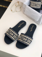 Christian Dior Dway Slide