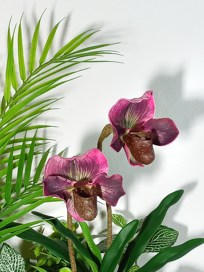 Композиция Тропическая с орхидеями бордо в кашпо