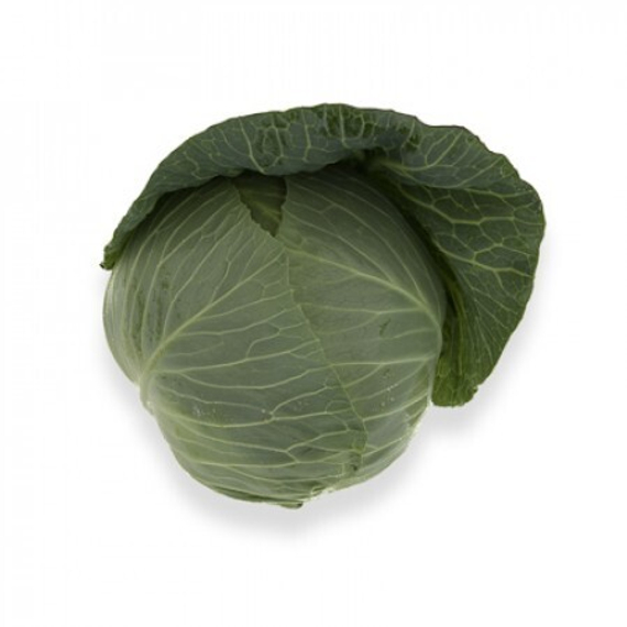 ТАКОМА F1 семена капусты белокочанной (Rijk Zwaan | Alexagro) – фото 4