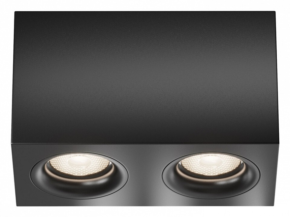 Накладной светильник Maytoni Technical C013CL-02B