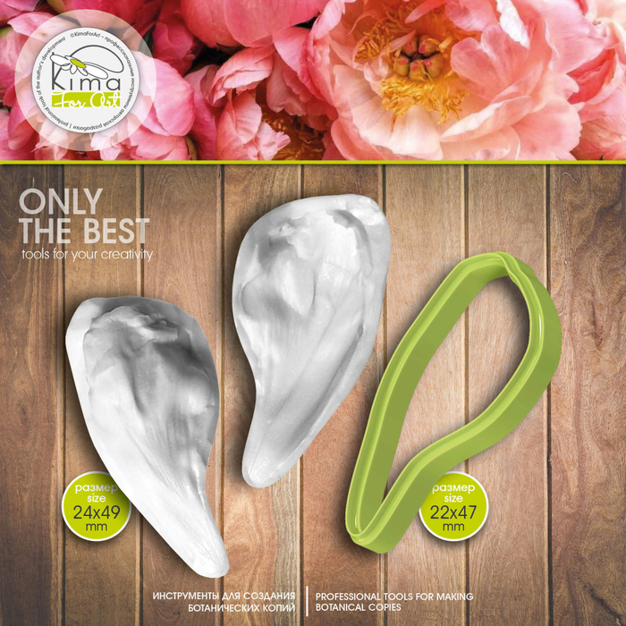 Пион Coral лепесток маленький