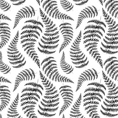 Папоротник