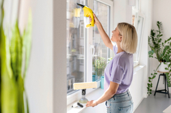 Аккумуляторный стеклоочиститель WV 1 Plus Frame Edition