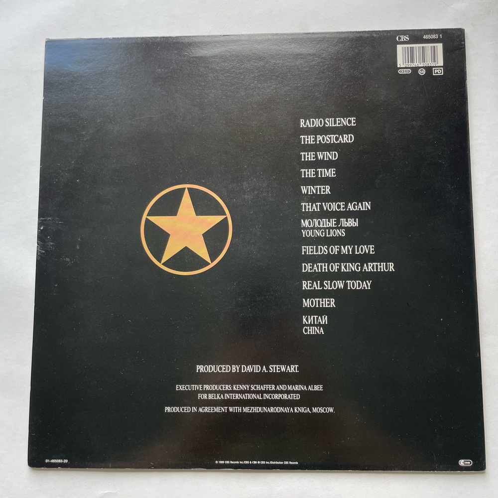 Винтажная виниловая пластинка LP Борис Гребенщиков, Boris Grebenshikov Radio Silence (Нидерланды 1989)