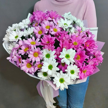 Букет из 9 кустовых хризантем