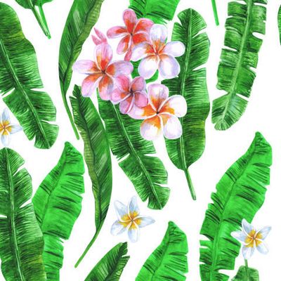 Листья бананового дерева и тропические цветы