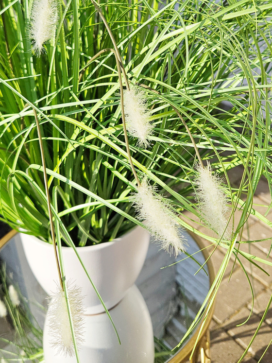 Трава с белыми пушистиками 60см в кашпо
