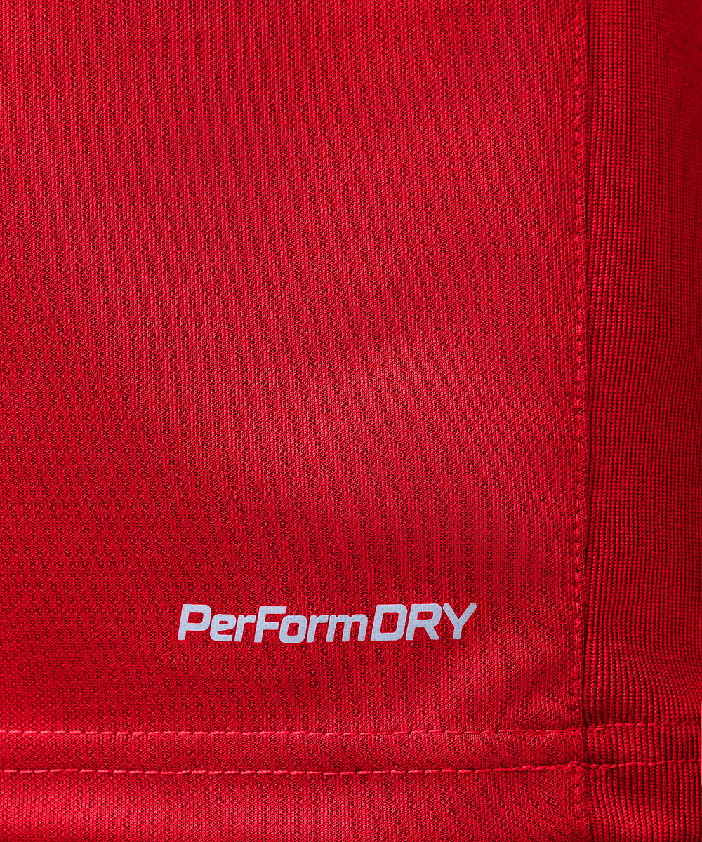 Джемпер тренировочный DIVISION PerFormDRY Pro Training Top, красный