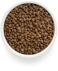 Grandorf Fresh Adult (Индейка и батат)