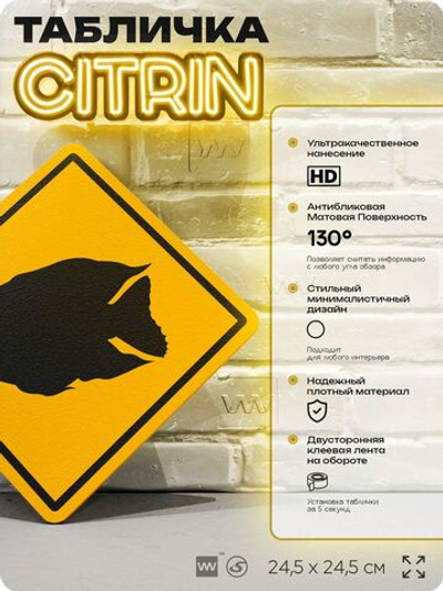 Табличка декоративная "Рыба-попугай" на дверь и стену, информационная и предупреждающая, декоративный знак, 24,5х24,5 см, пластиковая, Айдентика Технолоджи