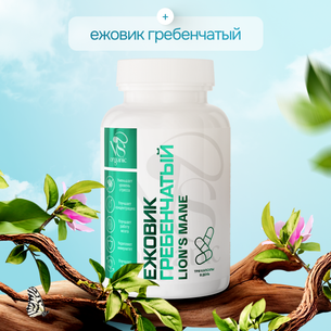 Ежовик гребенчатый