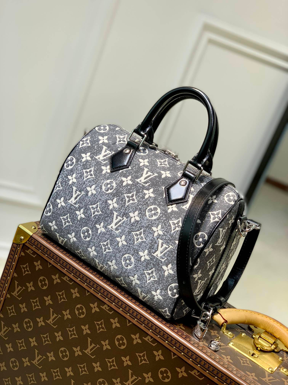Louis Vuitton Speedy 25