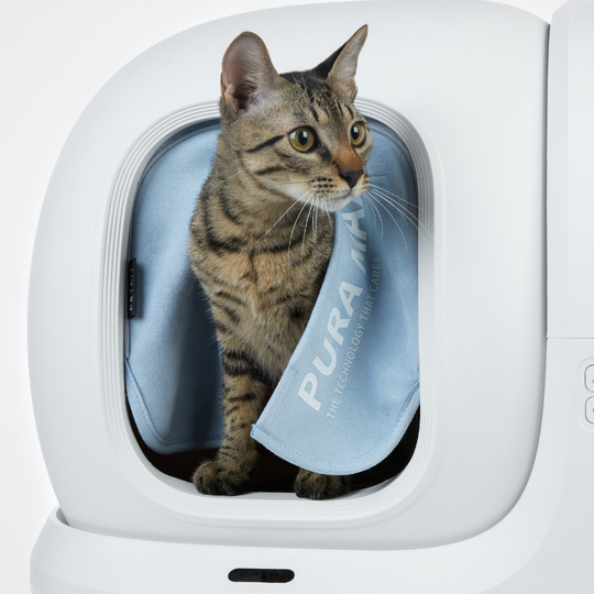 шторка-дверь с магнитными креплениями для автолотка PURA MAX