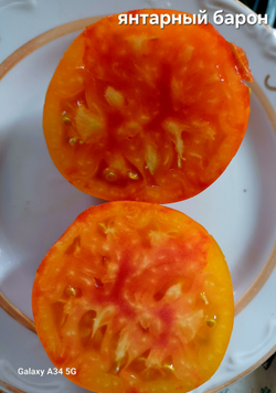 ЯНТАРНЫЙ БАРОН