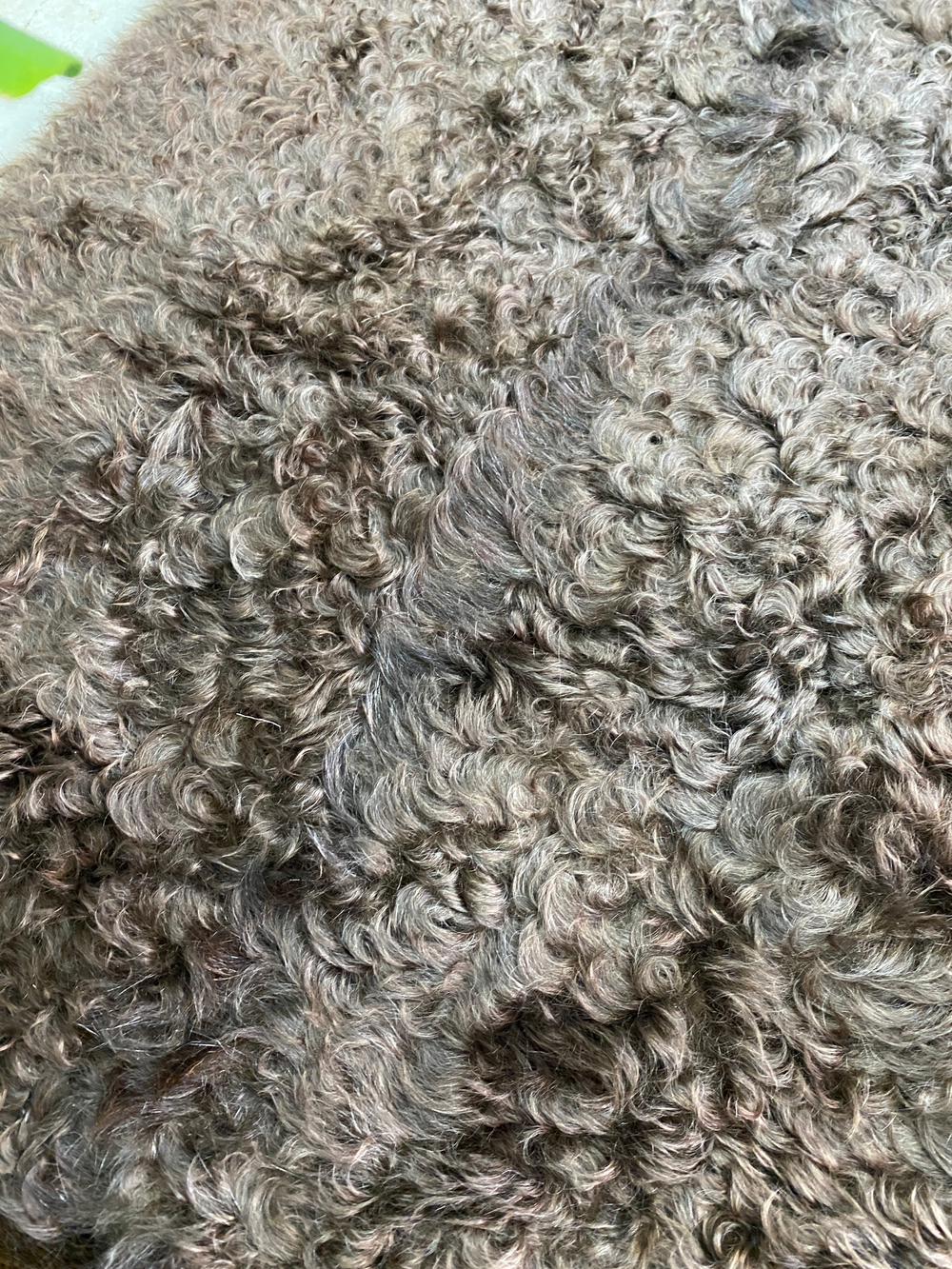 Ковер шкура из пуховой козы