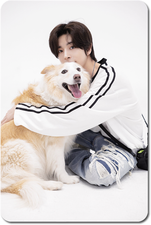 Карта / ENHYPEN #108