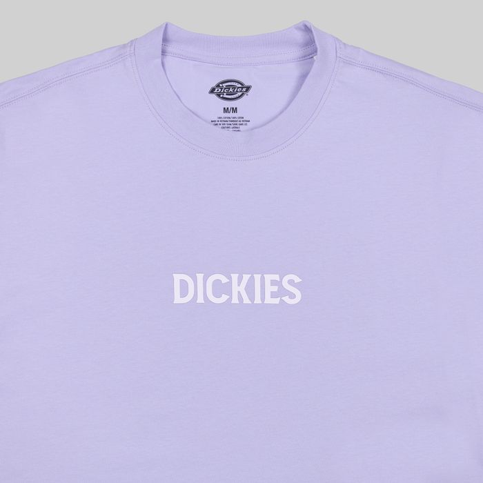 Футболка мужская Dickies Patrick Springs Tee артикул:DK0A4YR7H181 - купить в магазине Дайс