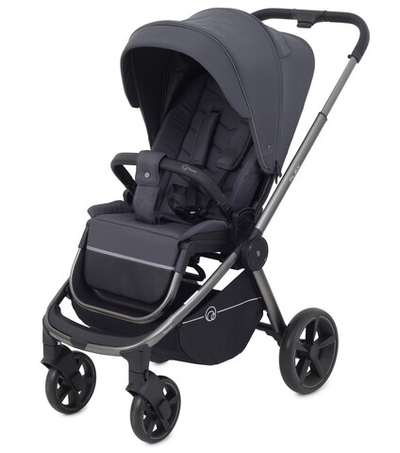 Детская прогулочная коляска Rant Flex Pro 2023 Graphite