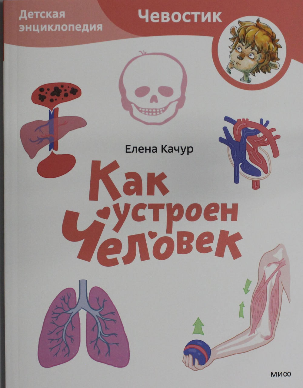 Как устроен человек. Детская энциклопедия (Чевостик) (Paperback)