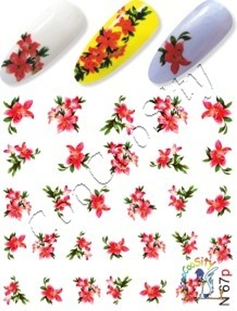 Слайдер-дизайн для ногтей Цветы N 67 p