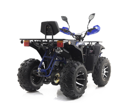 Квадроцикл GBM SHARP BIG 300 NEW PREMIUM