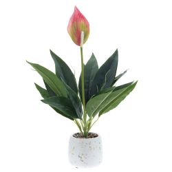 GAEM Цветочная композиция "Спатифиллум", L17 W12 H40 см