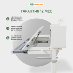 Письменный стол для школьников Ergokids Bravo Max