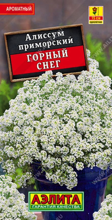 Алиссум Горный снег 0,1 гр Аэлита