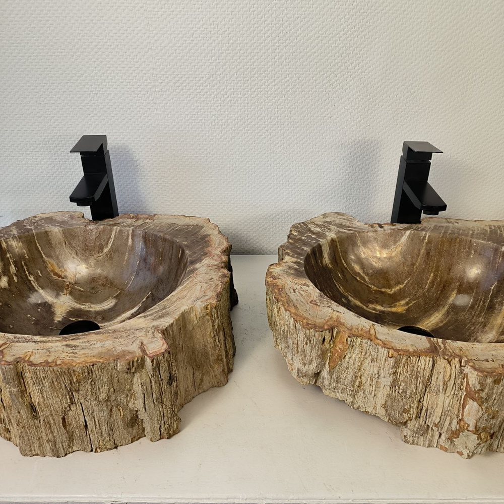 Раковина из окаменелого дерева ПАРА! OD-66073 52*45*15 из натурального камня