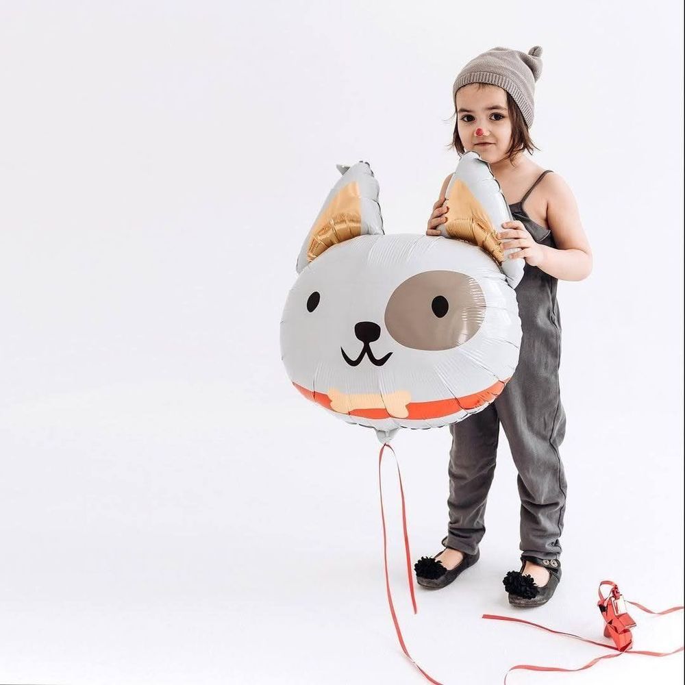 ПД Шар фигура Собака голова