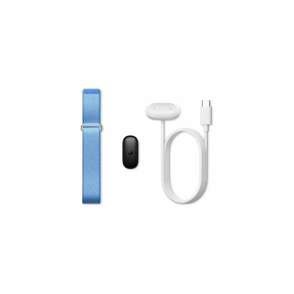 Google Fitbit Air