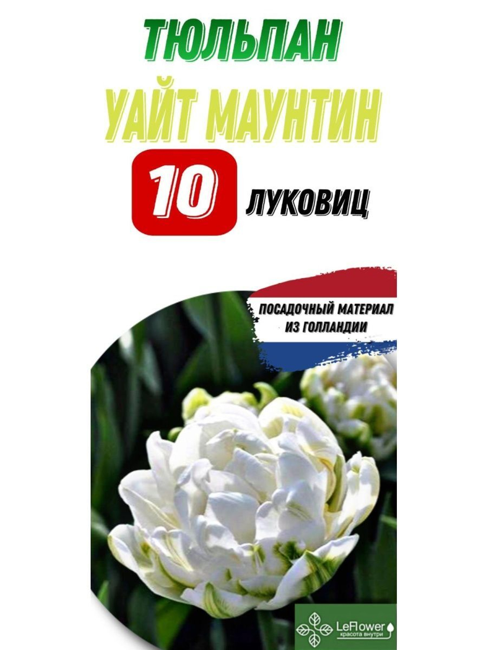 Тюльпан Луковица, Уайт Маунтин, 10шт