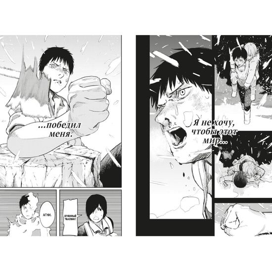 Манга Огненный удар. Книга 2