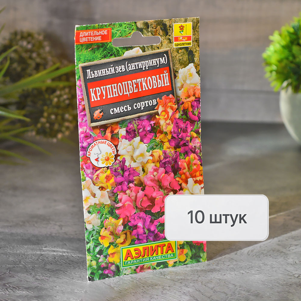 ЛЬВИНЫЙ ЗЕВ крупноцветковый Аэлита Ц (10шт)