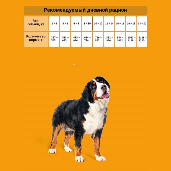 Консервы Probalance Adult Immuno Protection для собак, защита иммунитета, с говядиной