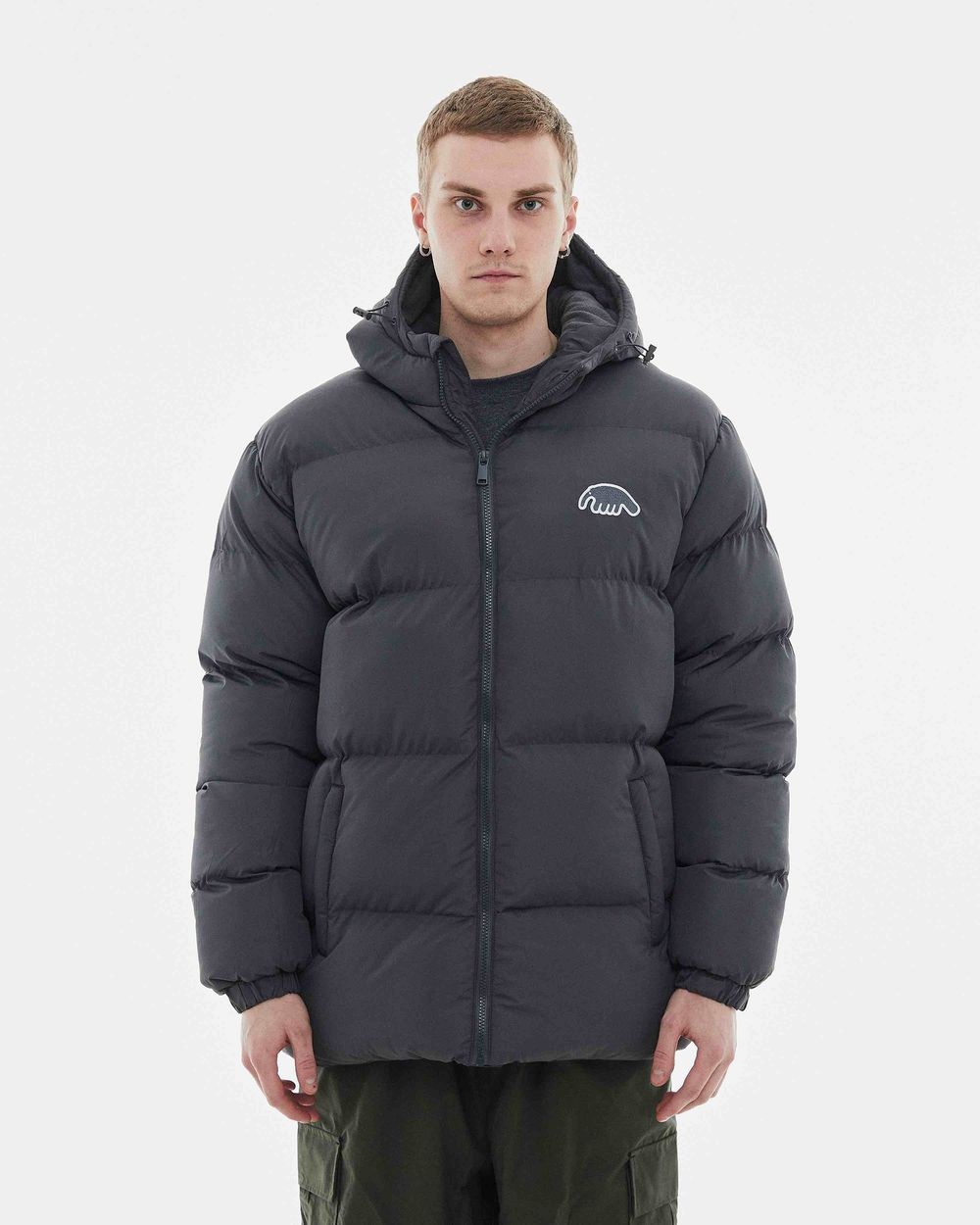 Пуховик Anteater Downjacket Hooded серый