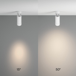 Потолочный светильник Technical C055CL-L12W4K-Z-W