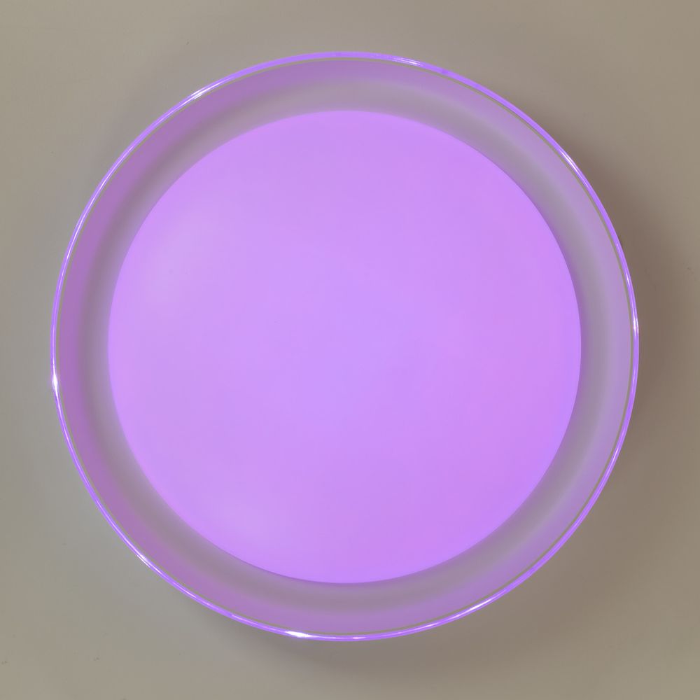 Citilux MEGA CL752350G LED RGB Светильник с пультом Белый