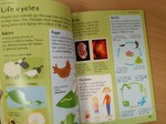 First Illustrated Science Dictionary Usborne