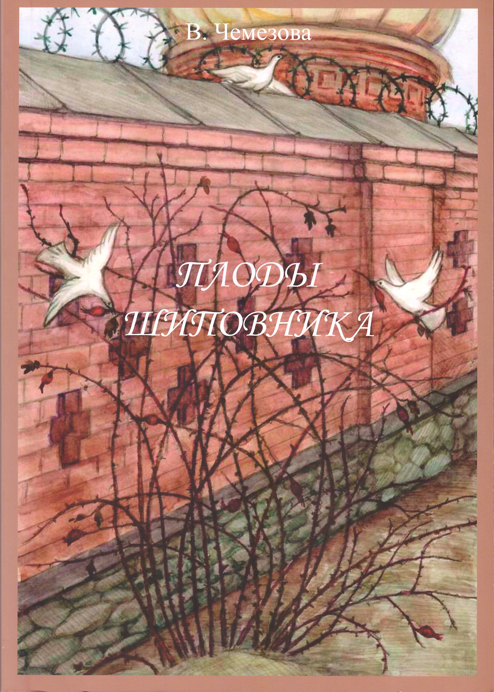 Плоды шиповника (документальное исследование)