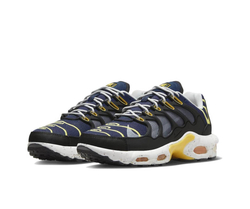 Nike Air Max Terrascape Plus "Michigan"
