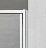 Душевая дверь Radaway Evo DW 80