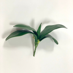 Орхидея куст 29 см