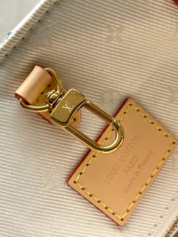 Louis Vuitton Onthego MM