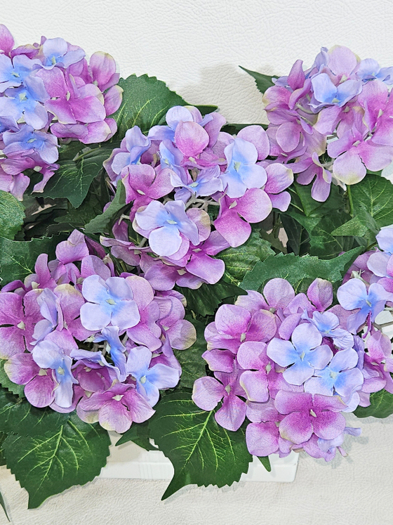 Гортензия лиловая 35см в белом балконном ящике