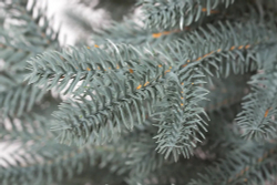 Ель искусственная Царь елка Адель голубая 60 см