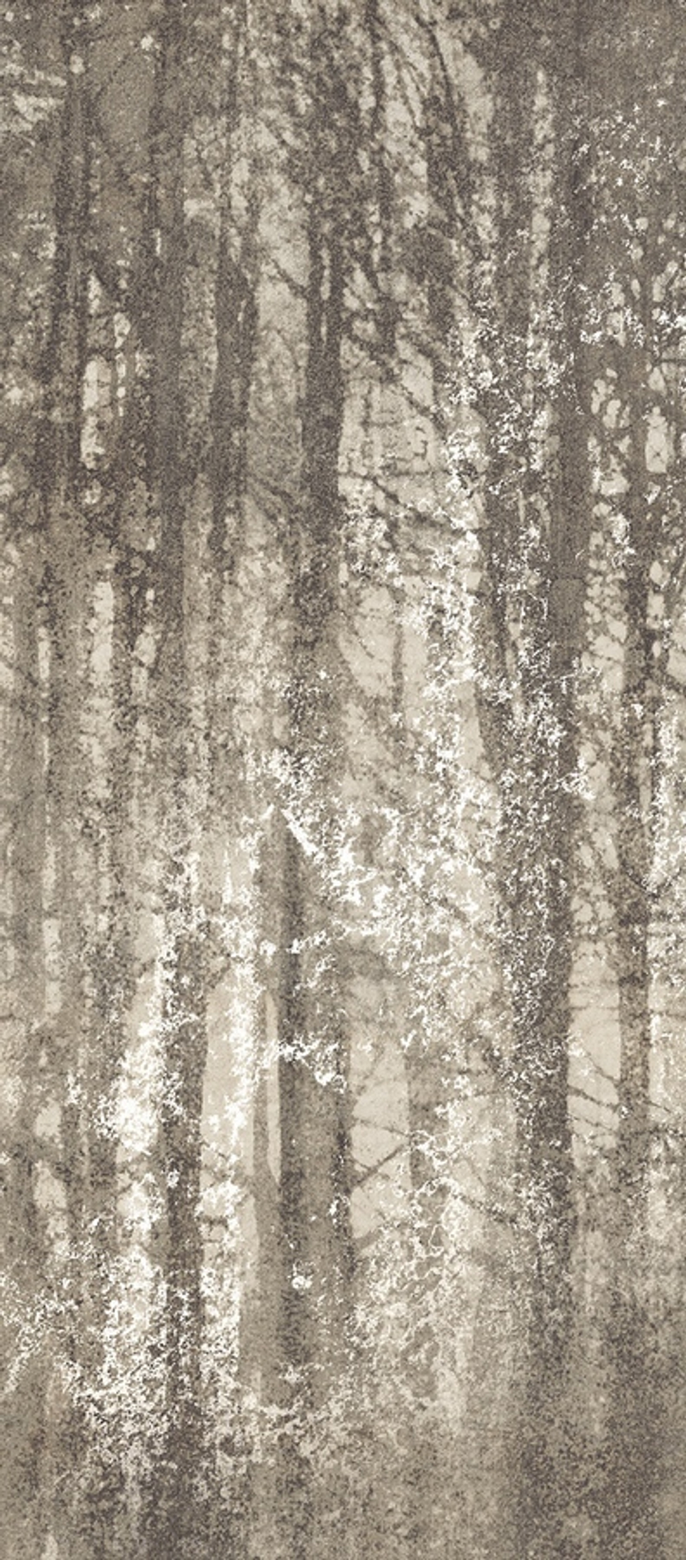 Керамогранит Ylico Wood Fog 120x278