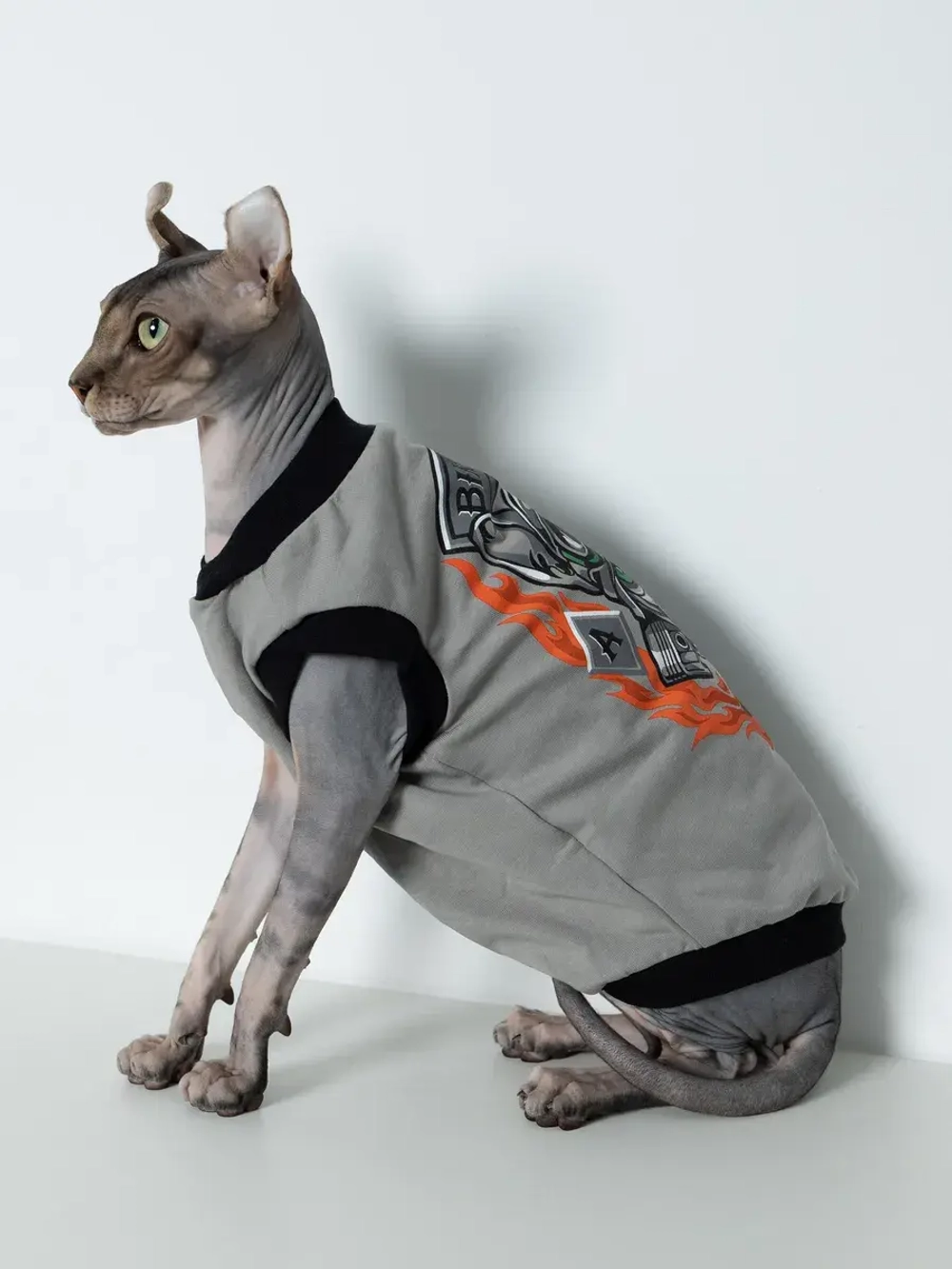 Одежда для кошек сфинкс