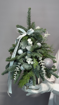 «Снежное королевство» новогодняя композиция с нобилисом